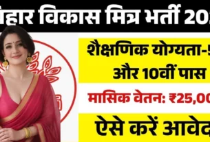 Bihar Madhepura Block Level Vikas Mitra Recruitment 2026